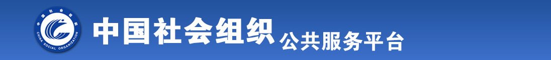 特级叉逼视频全国社会组织信息查询